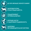 Корм влажный для взрослых кошек PURINA ONE Adult с говядиной и морковью в соусе, 75г - фото undefined