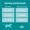 Корм влажный для взрослых кошек PURINA ONE Adult с говядиной и морковью в соусе, 75г - фото undefined