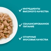 Корм влажный для взрослых кошек PURINA ONE Adult с говядиной и морковью в соусе, 75г - фото undefined