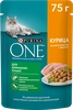 Корм влажный для взрослых кошек PURINA ONE Housecat с курицей и морковью в соусе, 75г - фото undefined