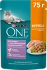 Корм влажный для взрослых кошек PURINA ONE Sensitive с курицей и морковью в соусе, 75г - фото undefined