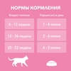 Корм влажный для котят PURINA ONE Kitten с курицей и морковью в соусе, 75г - фото undefined