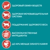 Корм влажный для взрослых кошек PURINA ONE Sterilised с курицей и зеленой фасолью в соусе, 75г - фото undefined