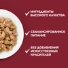 Корм влажный для взрослых собак PURINA ONE Mini Говядина, картофель и горох в подливе, 85г - фото undefined