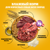Корм консервированный для взрослых собак PEDIGREE желе с телятиной и печенью, для всех пород, 85г - фото undefined