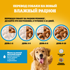 Корм консервированный для взрослых собак PEDIGREE желе с телятиной и печенью, для всех пород, 85г - фото undefined