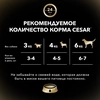 Корм консервированный для взрослых собак CESAR жаркое с уткой, для всех пород, 85г - фото 4