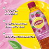 Напиток LIPTON Холодный чай Малиновое чаепитие на растительном сырье, 0.5л - фото undefined