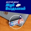 Жевательная резинка ORBIT Классический, 13,6г - фото undefined