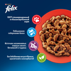 Корм сухой для взрослых кошек FELIX Мясное объедение с говядиной, 600г - фото 2