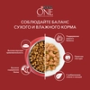 Корм сухой для взрослых собак PURINA ONE Adult Говядина и рис, для средних и крупных пород, 10кг - фото undefined