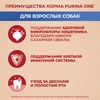 Корм сухой для взрослых собак PURINA ONE Adult Говядина и рис, для мелких и карликовых пород, 1,5кг - фото undefined