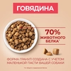 Корм сухой для взрослых собак PURINA ONE Adult Говядина и рис, для мелких и карликовых пород, 1,5кг - фото undefined