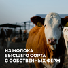 Масло сливочное ЭКОНИВА Традиционное 82,5%, без змж, 350г - фото undefined