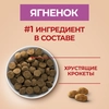 Корм сухой для взрослых собак PURINA ONE с высоким содержанием ягненка и рисом, для средних и крупных пород, 3,8кг - фото undefined