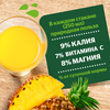 Нектар ДОБРЫЙ Ананас, 2л - фото 1