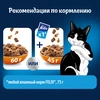 Корм сухой для взрослых кошек FELIX Двойная вкуснятина с птицей, 600г - фото 3