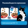 Корм сухой для взрослых кошек FELIX Двойная вкуснятина с мясом, 600г - фото 3