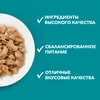 Корм влажный для взрослых кошек PURINA ONE Sterilised с говядиной и морковью в соусе, 75г - фото undefined