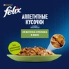 Корм влажный для взрослых кошек FELIX Аппетитные кусочки Кролик в желе, 75г - фото undefined