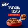 Корм влажный для взрослых кошек FELIX Природа вкуса Говядина, 75г - фото undefined