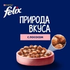 Корм влажный для взрослых кошек FELIX Природа вкуса Лосось, 75г - фото undefined