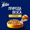 Корм влажный для взрослых кошек FELIX Природа вкуса Курица, 75г - фото undefined