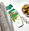 Гель-крем для душа PALMOLIVE Натурэль Интенсивное увлажнение Олива и увлажняющее молочко, 450мл - фото 3