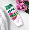 Гель-крем для душа PALMOLIVE Натурэль Роскошная мягкость Черная орхидея и увлажняющее молочко, 450мл - фото undefined