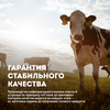 Сливки ультрапастеризованные ЭКОНИВА Professional Line 10%, без змж, 1000мл - фото undefined