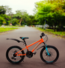 Велосипед ACTIWELL Joy 20" 21 скорость, в ассортименте, Арт. JOY20ST-U - фото undefined