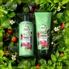 Бальзам-ополаскиватель для волос HERBAL ESSENCES Белая клубника и сладкая мята, 180мл - фото undefined