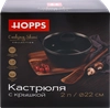 Кастрюля HOPPS Cooking Show, литая с индукцией, антипригарное покрытие, литые ручки, с крышкой, 3л, Арт. HР2433ID - фото undefined