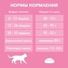 Корм сухой для котят PURINA ONE Kitten с курицей и цельными злаками, 200г - фото undefined