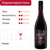 Напиток безалкогольный BUEN FINDE Red красный, 0.75л - фото 2