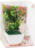 Набор ароматический HOMECLUB Aroma Tree, Арт. SA-24011 - фото 2