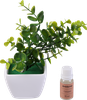 Набор ароматический HOMECLUB Aroma Tree, Арт. SA-24011 - фото 0