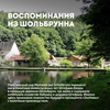 Сыр полутвердый ЭКОНИВА Шольбрунн 50%, без змж, 200г - фото undefined