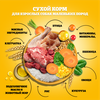 Корм сухой для взрослых собак PEDIGREE с говядиной, полнорационный, для мелких, 2000г - фото undefined