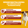 Корм сухой для взрослых собак PEDIGREE с говядиной, полнорационный, для мелких, 2000г - фото undefined
