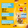 Корм сухой для щенков PEDIGREE полнорационный, с 2 месяцев, для всех пород, 500г - фото undefined