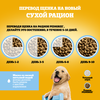 Корм сухой для щенков PEDIGREE полнорационный, с 2 месяцев, для всех пород, 500г - фото undefined