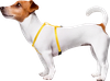 Комплект PAW WOW для собак поводок и шлейка 10мм - фото undefined
