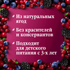 Морс ЧУДО-ЯГОДА Ягодный сбор Клюква, черника и ежевика, голубика, 0.97л - фото 2