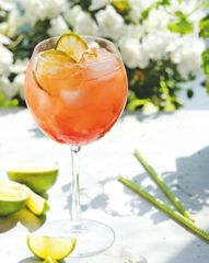Коктейль Campari Tonic