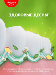 Зубная паста COLGATE Лечебные травы с натуральными ингредиентами для здоровья зубов и десен, 100мл