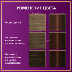 Крем-краска для волос ПАЛЕТТ Интенсивный цвет 4–60 (WN3) Золотистый кофе, 110мл