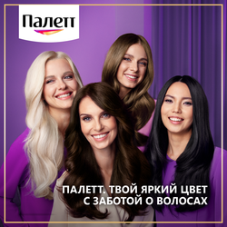 Крем-краска для волос ПАЛЕТТ Интенсивный цвет 3–0 (N2) Темно-каштановый, 110мл