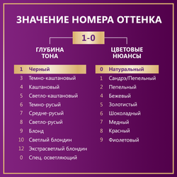 Крем-краска для волос ПАЛЕТТ Интенсивный цвет 1–0 (N1) Черный, 110мл