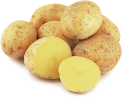 Картофель белый мытый, весовой